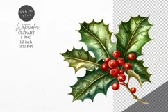 Christmas clipart, Holly clipart, Winter clipart Product Image 1
