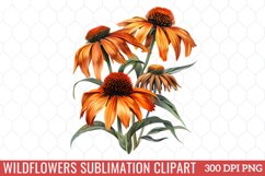 Wildflowers Sublimation Clipart Product Image 1
