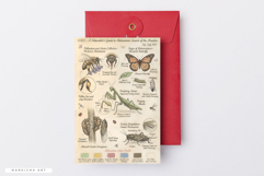 Summer Insects Junk Journal Pages Product Image 5
