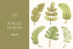 Jungle Leaves Clipart PNG Product Image 1