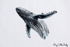 Whales Clipart design PNG Product Image 1