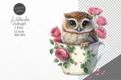 Baby owl in cup clipart, Owl clipart, Product Image 1