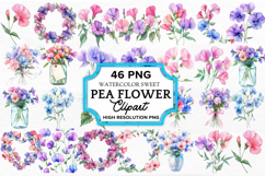 Sweet Pea Flower Watercolor Clipart Bundle PNG Product Image 1