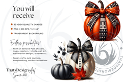 Harvest Coquette chic Pumpkins with bows Set, Boho autumn Product Image 2