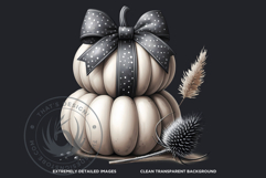 Harvest Coquette chic Pumpkins with bows Set, Boho autumn Product Image 3