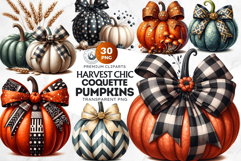 Harvest Coquette chic Pumpkins with bows Set, Boho autumn Product Image 1