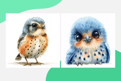 Cute Kestrel Bird Baby Watercolor illustration Set 4 Product Image 2
