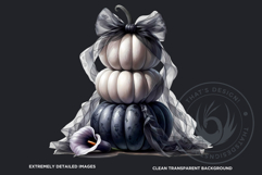 Luxurious Coquette Pumpkins PNG set, Chic Fall Decor Clipart Product Image 3