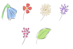 30 Wildflowers Flower Hand Drawn Illustration Spring Floral Product Image 5