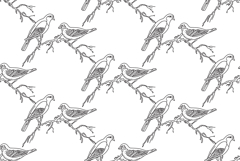 Line art seamless pattern with garden birds vector izolated Product Image 1