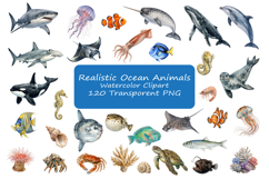 120 Realistic Ocean Animals Watercolor Clipart Set Product Image 1