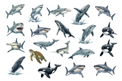 120 Realistic Ocean Animals Watercolor Clipart Set Product Image 3