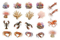 120 Realistic Ocean Animals Watercolor Clipart Set Product Image 7