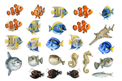 120 Realistic Ocean Animals Watercolor Clipart Set Product Image 4
