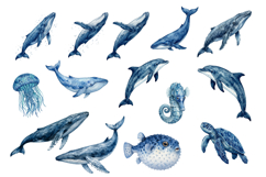 120 Realistic Ocean Animals Watercolor Clipart Set Product Image 2