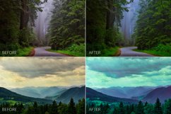 Dark Forest Lr Presets Product Image 4
