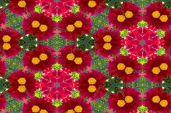 12 abstract Seamless colorful FLOWER patterns pack. Product Image 13