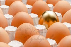 Golden egg in a row. Out of the box thinking concept. Product Image 1