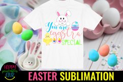 Eggstra Special Easter Sublimation I Bunny Sublimation Product Image 1