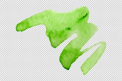 Dracaena maraginata tricolor Watercolor png Product Image 4