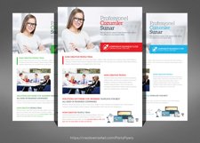 Business Flyer Product Image 1