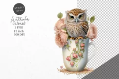 Baby owl in cup clipart, Owl clipart, Product Image 1