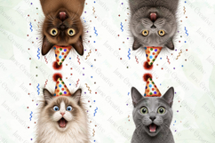 Surprise Birthday Cat PNG Clipart Product Image 1
