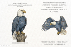 Patriotic American Eagle Clipart Product Image 2