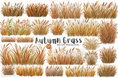 Autumn Grass Clipart Product Image 1