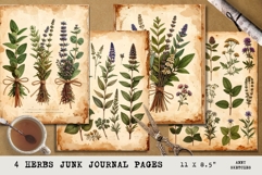 Vintage Herbs Junk Journal Pages Botanical Printable Product Image 1
