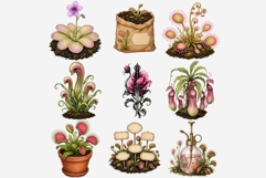 Carnivorous Plant Greenhouse Clipart | Venus Flytrap PNG Product Image 6