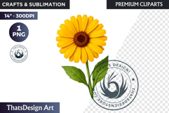Flower Clipart PNG, Botanical Illustration Floral graphic Product Image 1