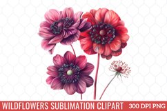 Wildflowers Sublimation Clipart Product Image 1