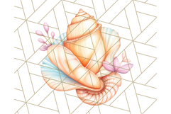 Natural Seashell Clipart PNG, Summer Nautical Beach Shell Product Image 3