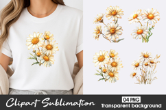 Daisy Watercolor Clipart PNG Product Image 1