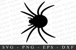Spider Svg | Halloween Svg | Svg Cut Files Product Image 1