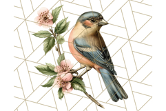 Vintage Song Bird Clipart PNG, Botanical Bird Art Clip Art Product Image 3
