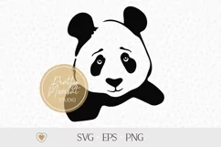 Panda svg, Panda head svg, Cute panda svg, png files Product Image 1