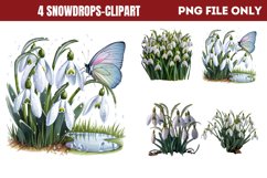 Snowdrops Clipart PNG Product Image 1