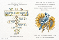 Summer Birds Garden Clipart Product Image 2