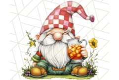 Summer Garden Gnomes Clipart PNG, Summer Country Gnomes Png Product Image 3