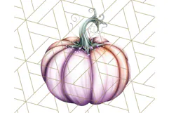 Fall Pumpkin Clipart PNG, Autumn Pumpkins, Jewel Tones Png Product Image 3