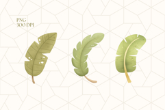 Jungle Leaves Clipart PNG Product Image 2