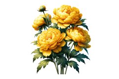 Peony Flowers Spring Clipart Sublimation PNG Product Image 1