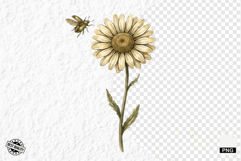 Summer Daisy Breeze Meadow Clipart Product Image 1