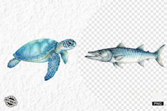 Watercolor Sea Life PNG Clipart Product Image 1