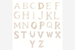 Floral Alphabet PNG Bundle | 26 Watercolor Flower Letters Product Image 2