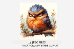 Angry Grumpy Birds Clipart Bundle | 13 JPEG Files Product Image 5