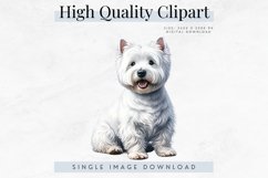 High Quality White West Highland Terrier Clipart Product Image 1