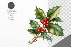 Christmas clipart, Holly clipart, Winter clipart Product Image 1